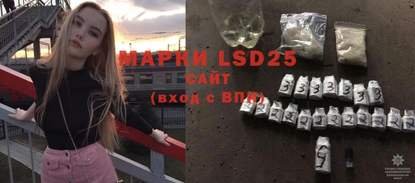 ГАЛЛЮЦИНОГЕННЫЕ ГРИБЫ Заполярный