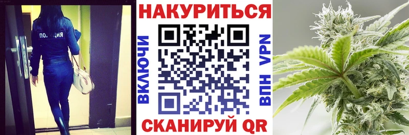 кракен ONION  купить  цена  Карачаевск  Шишки марихуана сатива 